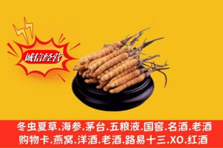 南平市建阳求购回收虫草多少钱每克